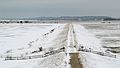 Feb. 22, 2005 - Plum Island, Massachusetts.<br />Hellcat swamp area.