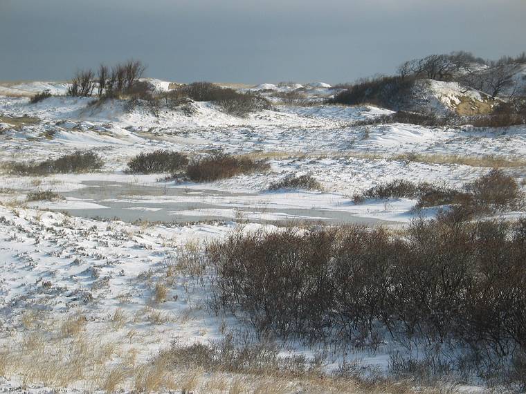 Feb. 22, 2005 - Plum Island, Massachusetts.<br />Views off parking lot #2.