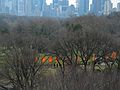 Feb. 12, 2005 - Central Park, New York City.<br />Christo and Jeanne-Claude's "The Gates" installation.<br />View from atop the Metropolitan Museum of Art.