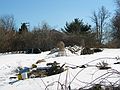 March 27, 2005 - Tewksbury, Massachusetts.<br />Easter Dinner at Paul and Norma's.<br />Paul's garden.