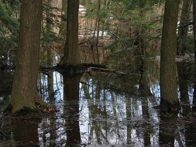 April 1, 1981 - Maudslay State Park, Newburyport, Massachusetts.