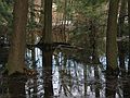 April 1, 1981 - Maudslay State Park, Newburyport, Massachusetts.