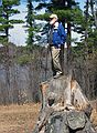 April 14, 2005 - Maudslay State Park, Newburyport, Massachusetts.<br />Egils, the king of the stump.