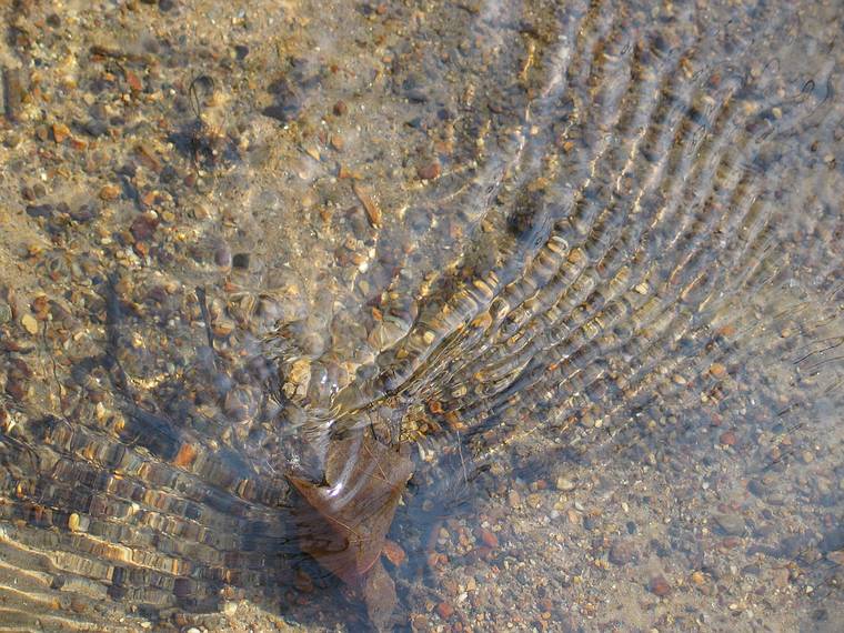April 18, 2005 - Maudslay State Park, Newburyport, Massachusetts.