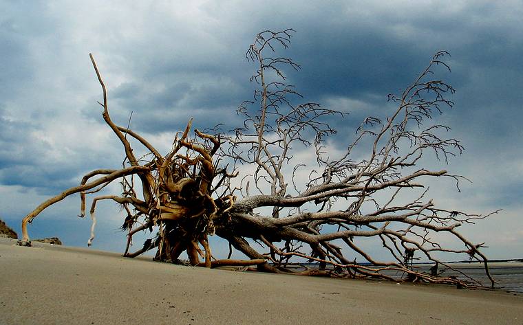 May 3, 2005 - Sandy Point State Park, Plum Island, Massachusetts.