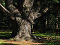 May 10, 2005 - Maudslay State Park, Newburyport, Massachusetts.