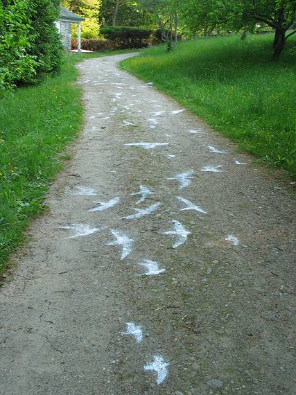 June 4, 2005 - Maudslay State Park, Newburyport, Massachusetts.<br />Outdoor Sculpture Show - installation day 1.<br />Caroline Bagenal's "Flight Path". Non-toxic turf marking paint.
