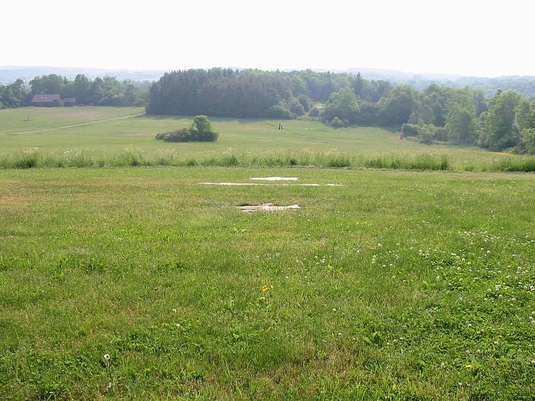 June 9, 2005 - Cazenovia, New York.<br />Three of Joyce's tree footprint sculptures in the meadow of Stone Quarry Hill Art Park.