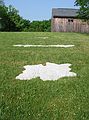 June 9, 2005 - Cazenovia, New York.<br />Three of Joyce's tree footprint sculptures in the meadow of Stone Quarry Hill Art Park.