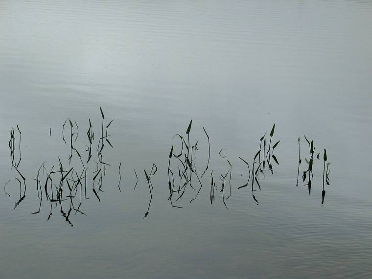June 18, 2005 - White Lake State Park, Tamworth, New Hampshire.<br />White Lake.