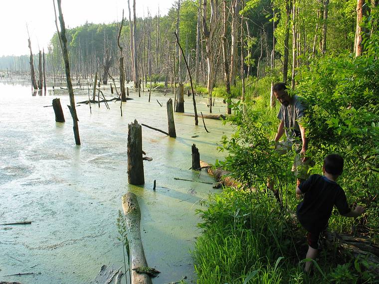 June 21 - At Tom and Kim's in South Hampton, New Hampshire.<br />The beaver pond across the street.<br />Eric and Gujn.