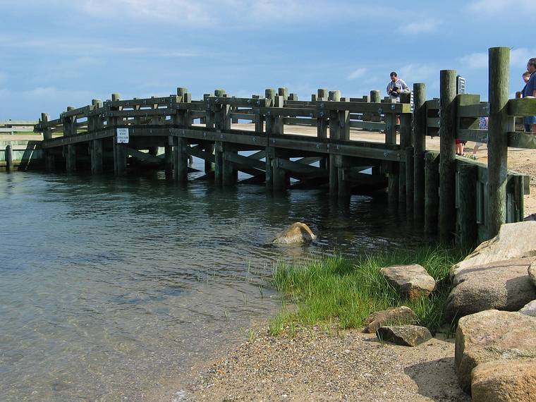 June 22, 2005 - Chappaquiddick Island, Marthas Vinyard, Massachusetts.<br />Eric on Dike Bridge.