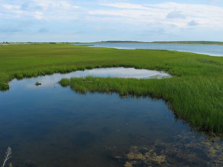 June 22, 2005 - Chappaquiddick Island, Marthas Vinyard, Massachusetts.<br />Toms Nech Point?