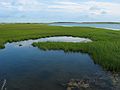 June 22, 2005 - Chappaquiddick Island, Marthas Vinyard, Massachusetts.<br />Toms Nech Point?