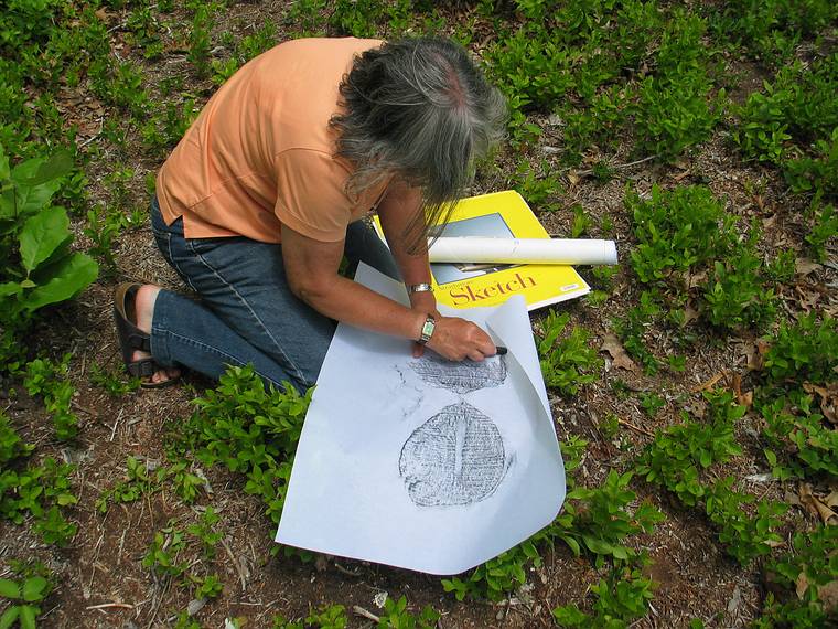 June 24, 2005 - Chappaquiddick Island, Marthas Vinyard, Massachusetts.<br />On Holly's grandmother's property.<br />Joyce doing tree stump tracing.