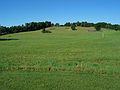 July 23, 2005 - Stone Quary Hill Sculpture Park, Cazenovia, New York.<br />The Hill from the artists' (and Dorothy Riester's (owner)) quarters.