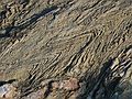 August 7, 2005 - Hermit Island, Small Point, Maine.<br />Stone texture at Joe's Head.