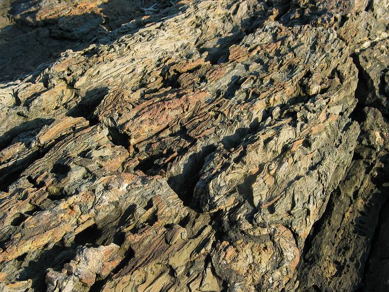 August 7, 2005 - Hermit Island, Small Point, Maine.<br />Stone texture at Joe's Head.