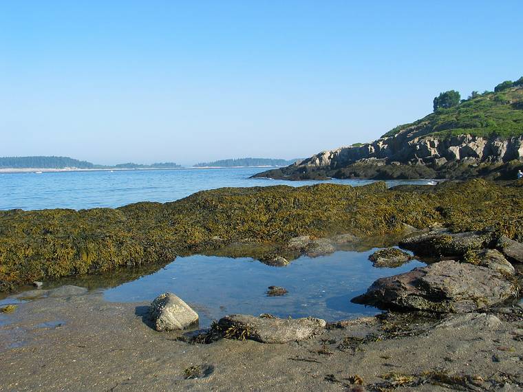 August 8, 2005 - Hermit Island, Small Point, Maine.<br />View west from Lagoon Beach.