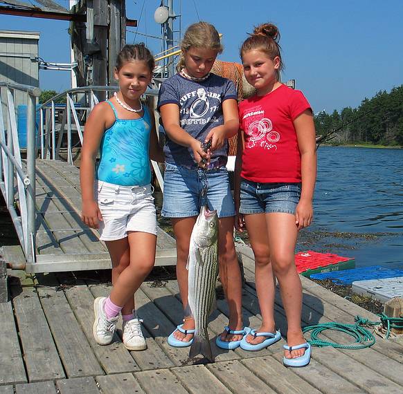 August 9, 2005 - Hermit Island, Small Point, Maine.<br />Arianna, Marissa, and Laura showing off the catch of the day (Paul's).