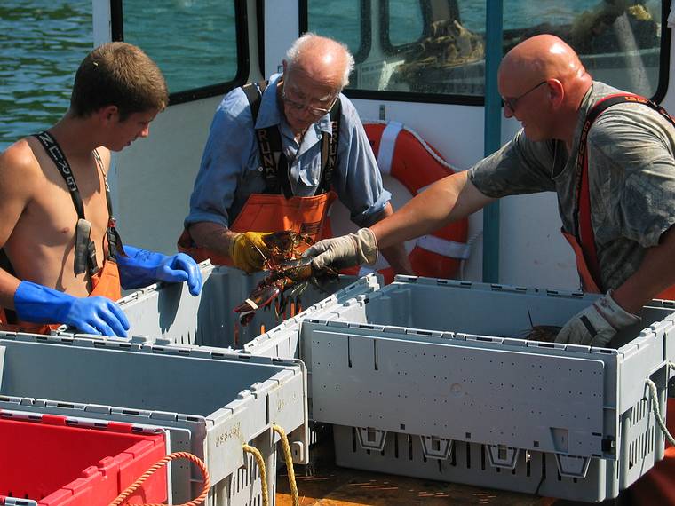 August 9, 2005 - Hermit Island, Small Point, Maine.<br />Local lobstermen unloading their catch.