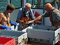 August 9, 2005 - Hermit Island, Small Point, Maine.<br />Local lobstermen unloading their catch.