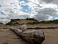 August 23, 2005 - Parker River National Wildlife Refuge, Plum Island, Massachusetts.<br />John and I found this soccer ball.<br />After I took this photo, we kicked it for a while down the beach.