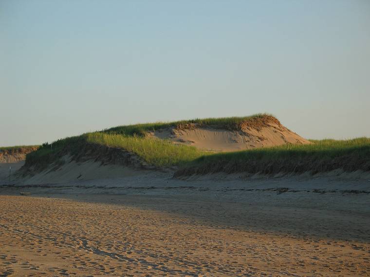 August 27, 2005 - Parker River National Wildlife Refuge, Plum Island, Massachusetts.