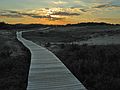 August 27, 2005 - Parker River National Wildlife Refuge, Plum Island, Massachusetts.<br />Boardwalk to parking lot #3.
