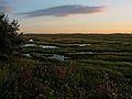 August 27, 2005 - Parker River National Wildlife Refuge, Plum Island, Massachusetts.<br />View of marsh from across lot #3.