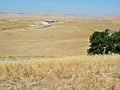 August 12, 2005 - Off Interstate 5 near Newman, California.<br />The California Aqueduct in the distance.