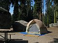 August 13, 2005 - Sequoia National Park, California.<br />Our campsite at Dorst Campground.