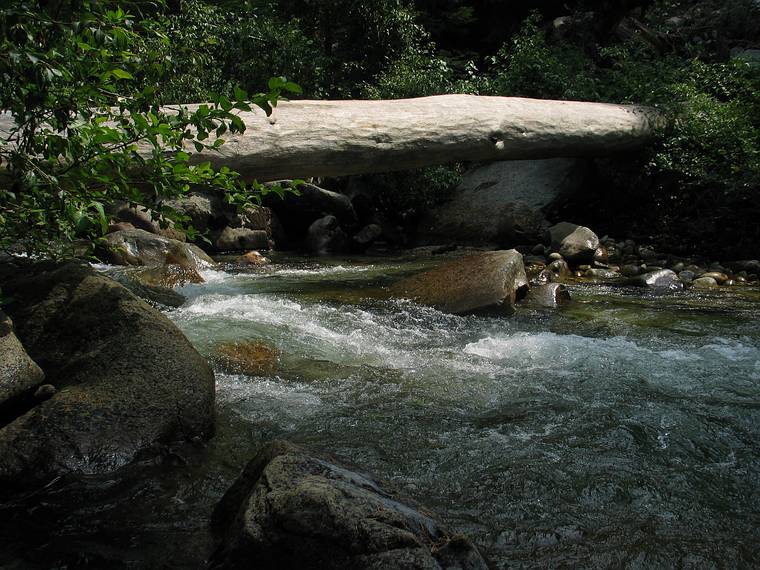 August 14, 2005 - Kings Canyon National Park, California.<br />One of many logs across Bubbs Creek.