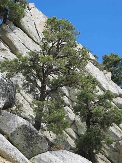 August 16, 2005 - Whitney Portal Road out of Lone Pine, California.