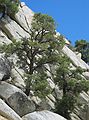 August 16, 2005 - Whitney Portal Road out of Lone Pine, California.
