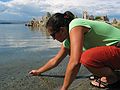 August 16, 2005 - Mono Lake, California.<br />Melody trying to scoop up a brine shrimp.