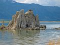 August 16, 2005 - Mono Lake, California.<br />Osprey in nest atop a tufa tower.