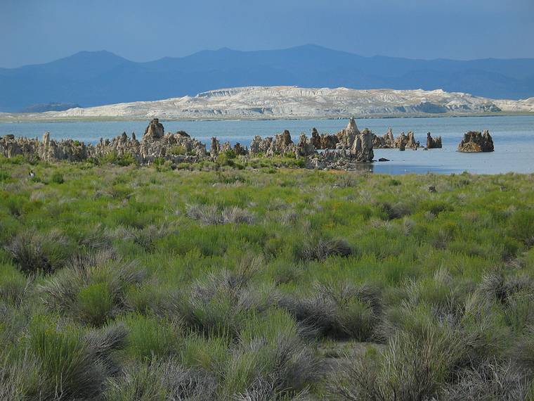 August 16, 2005 - Mono Lake, California.