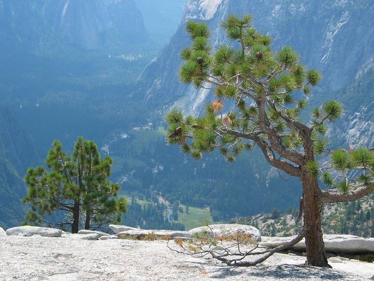 August 17, 2005 - Yosemite National Park, California.<br />Nine mile hike from CA-120 at Porcupine Creek to North Dome and back.<br />Looking into Yosemite Valley from North Dome.