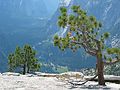 August 17, 2005 - Yosemite National Park, California.<br />Nine mile hike from CA-120 at Porcupine Creek to North Dome and back.<br />Looking into Yosemite Valley from North Dome.