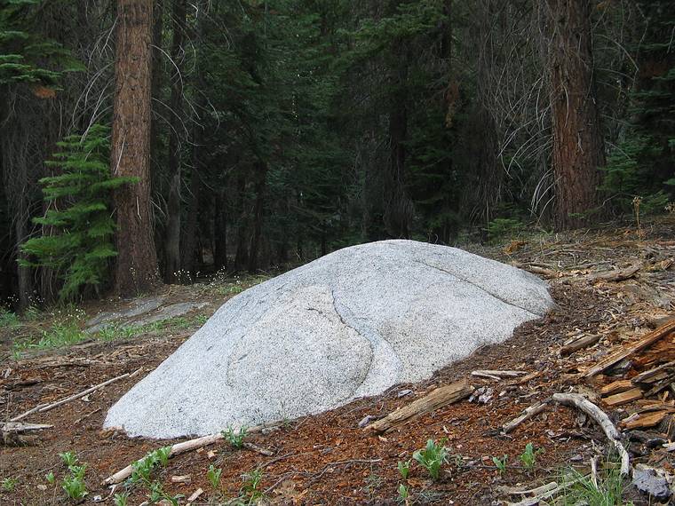 August 17, 2005 - Yosemite National Park, California.<br />Nine mile hike from CA-120 at Porcupine Creek to North Dome and back.