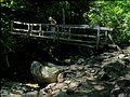 Sept. 4, 2005 - Mount Cardigan, New Hampshire.<br />Joyce on Croo Bridge over Bailey Brook on Hoyt Trail.