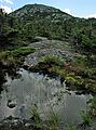 Sept. 4, 2005 - Mount Cardigan, New Hampshire.<br />View of Cardigan from Mowglis Trail on the way to Firescrew.