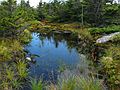 Sept. 4, 2005 - Mount Cardigan, New Hampshire.