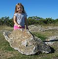 Oct. 1, 2005 - Wachusett Mountain State Reservation, Princeton, Massachusetts.<br />Miranda at the top. She is quite the hiker.