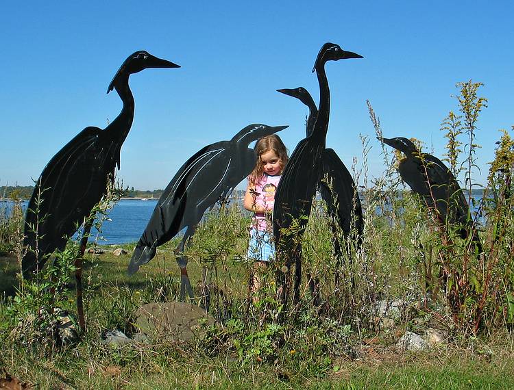 October 2, 2005 - Odiorne State Park, Rye, New Hampshire.<br />Miranda among steel herons.