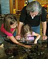 October 2, 2005 - Odiorne State Park, Rye, New Hampshire.<br />A new friend, Miranda, and Joyce at the touch tank at the Science Center.