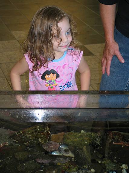 October 2, 2005 - Odiorne State Park, Rye, New Hampshire.<br />Miranda at the touch tank at the Science Center.