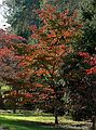 November 1, 2005 - Maudslay State Park, Newburyport, Massachusetts.