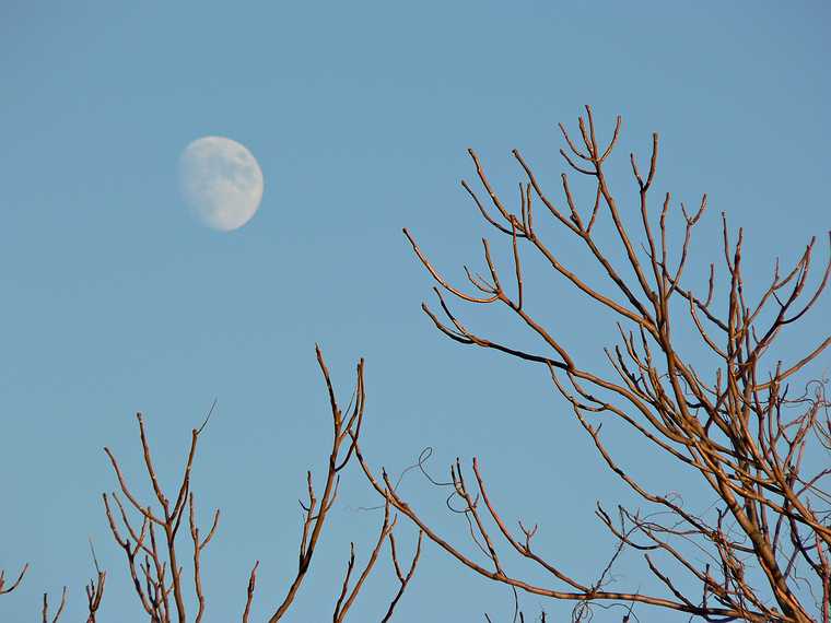 November 12, 2005 - Colt State Park, Bristol, Rhode Island.